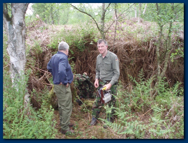 600x449 pixels (193K)